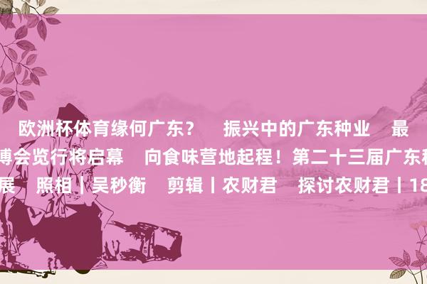 欧洲杯体育缘何广东？    振兴中的广东种业    最新剧透！第二十三届广东种博会览行将启幕    向食味营地起程！第二十三届广东种博会火热招商招展    照相｜吴秒衡    剪辑丨农财君    探讨农财君丨18565265490    新时期 新种业    南边农村报丨农玉帛典  -亚博「中国」yabo官方网站-登录入口