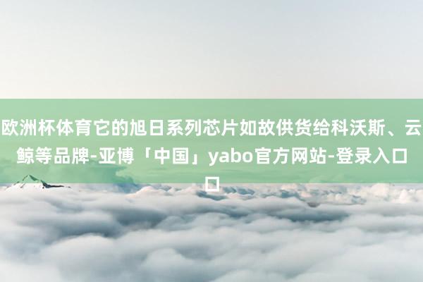欧洲杯体育它的旭日系列芯片如故供货给科沃斯、云鲸等品牌-亚博「中国」yabo官方网站-登录入口