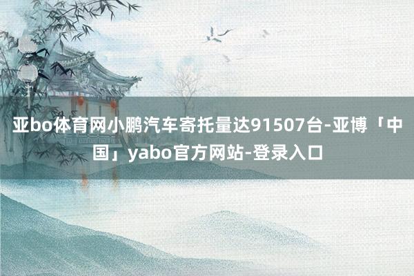 亚bo体育网小鹏汽车寄托量达91507台-亚博「中国」yabo官方网站-登录入口