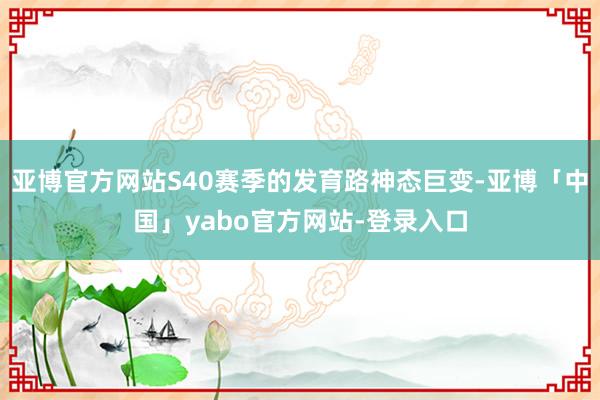 亚博官方网站S40赛季的发育路神态巨变-亚博「中国」yabo官方网站-登录入口