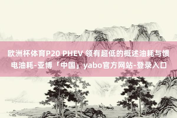 欧洲杯体育P20 PHEV 领有超低的概述油耗与馈电油耗-亚博「中国」yabo官方网站-登录入口