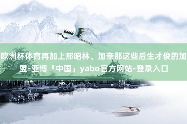 欧洲杯体育再加上邢昭林、加奈那这些后生才俊的加盟-亚博「中国」yabo官方网站-登录入口