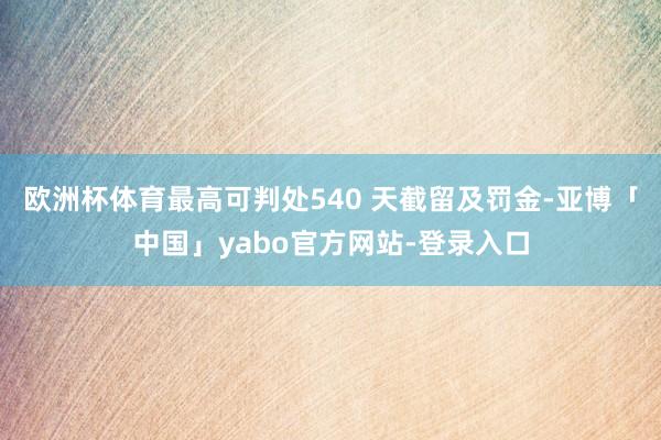 欧洲杯体育最高可判处540 天截留及罚金-亚博「中国」yabo官方网站-登录入口