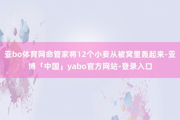 亚bo体育网命管家将12个小妾从被窝里轰起来-亚博「中国」yabo官方网站-登录入口