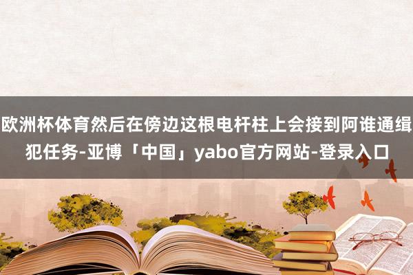 欧洲杯体育然后在傍边这根电杆柱上会接到阿谁通缉犯任务-亚博「中国」yabo官方网站-登录入口