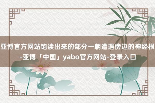 亚博官方网站饱读出来的部分一朝遭遇傍边的神经根-亚博「中国」yabo官方网站-登录入口